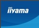 IIYAMA Monitor 27 cali XB2793QSU-B1 IPS, QHD, HDMI, DP, 2xUSB