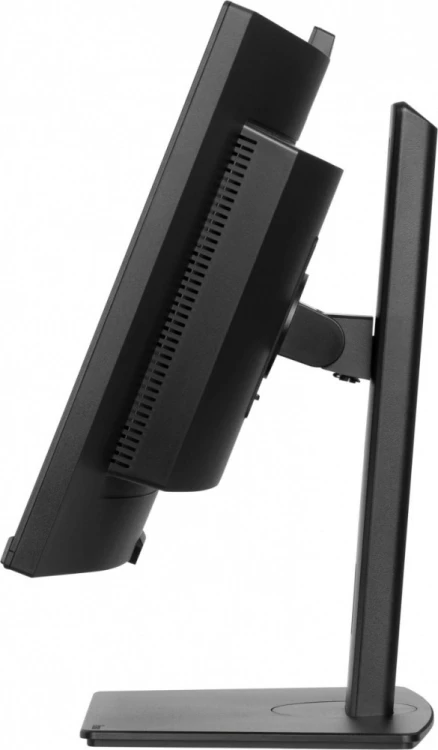 IIYAMA Monitor 34 cale XCB3497WQSNPH-B1 + Norton Small Business card 250G PL