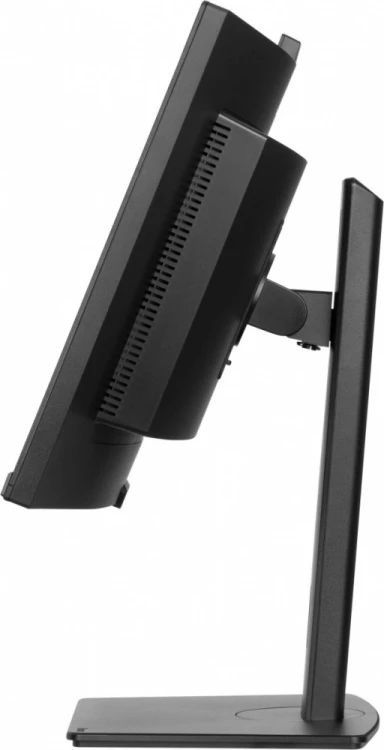 IIYAMA Monitor 34 cale XCB3497WQSNPH-B1 + Norton Small Business card 250G PL