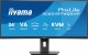 IIYAMA Monitor 34 cale XCB3497WQSNP-B1 + Norton Small Business card 250G PL