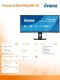 IIYAMA Monitor 34 cale XCB3497WQSNP-B1 + Norton Small Business card 250G PL
