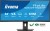 IIYAMA Monitor 34 cale XCB3497WQSNP-B1 + Norton Small Business card 250G PL