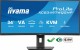 IIYAMA Monitor 34 cale XCB3497WQSNP-B1 + Norton Small Business card 250G PL