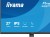 IIYAMA Monitor 27 cali XB2791QS-B1 IPS, QHD, HDMI, DP