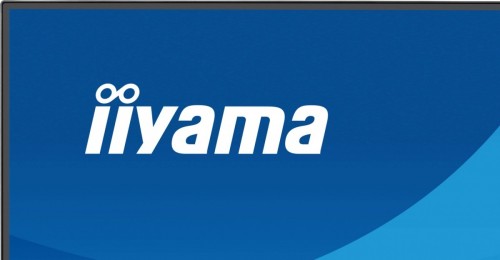IIYAMA Monitor 23.8 cala X2491HS-B1  IPS,HDMI,DP,1ms,350cd, 1500:1,120Hz,2x2W