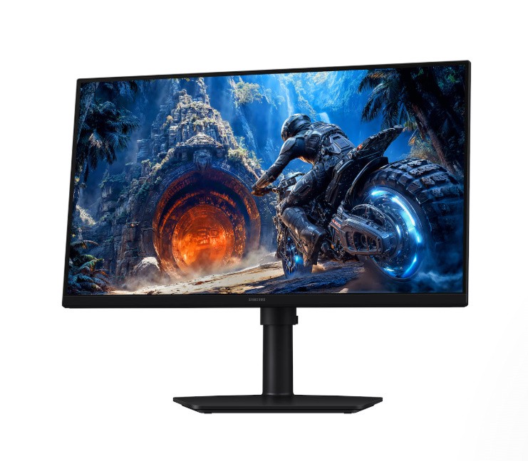 Samsung Monitor 25 cali Odyssey G4 G40H IPS 1920x1080 FHD 16:9 1xHDMI 1xDP 1ms 240/300Hz HAS+PIV głośniki płaski 2Yd2d (LS25HG402EUXEN)
