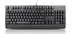 Lenovo Klawiatura USB Lenovo Preferred Pro II  US English 4X30M86879