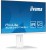 IIYAMA Monitor 24 cale XUB2497HSU-W2 IPS, HDMI, DP, 2x2W, 2xUSB, Pivot, HAS(150mm) /5y/
