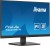 IIYAMA Monitor 24 cale XU2491H-B1 IPS, HDMI, DP, 0,5ms, 300cd