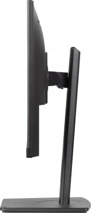 IIYAMA Monitor 24 cale XUB2491H-B1 IPS, HDMI, DP, HAS, Pivot