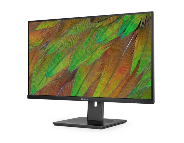 Philips Monitor 31.5 cala 32B1N3800 VA 4K HDMIx2 DP Pivot